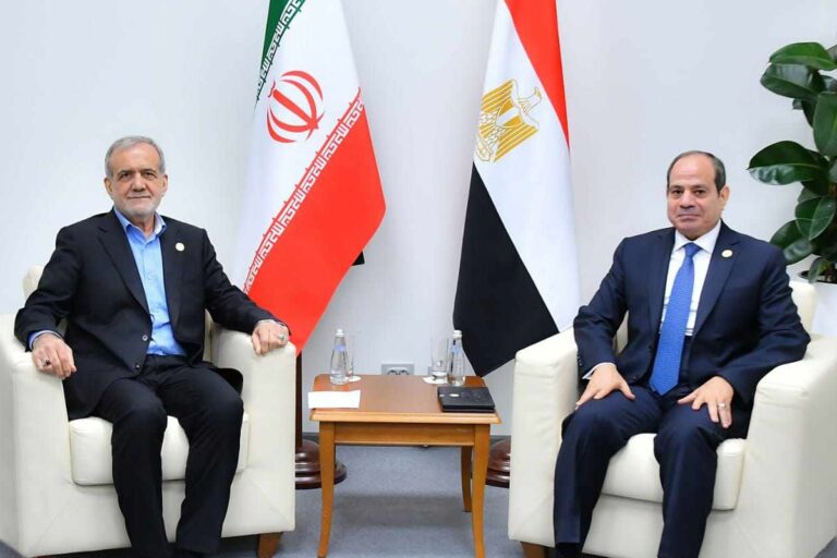 الرئيس عبد الفتاح السيسي الرئيس الإيراني مسعود بزشكيان في نيودلهي