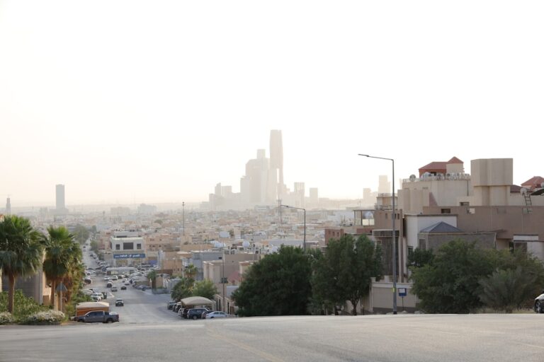 أفق مدينة الرياض