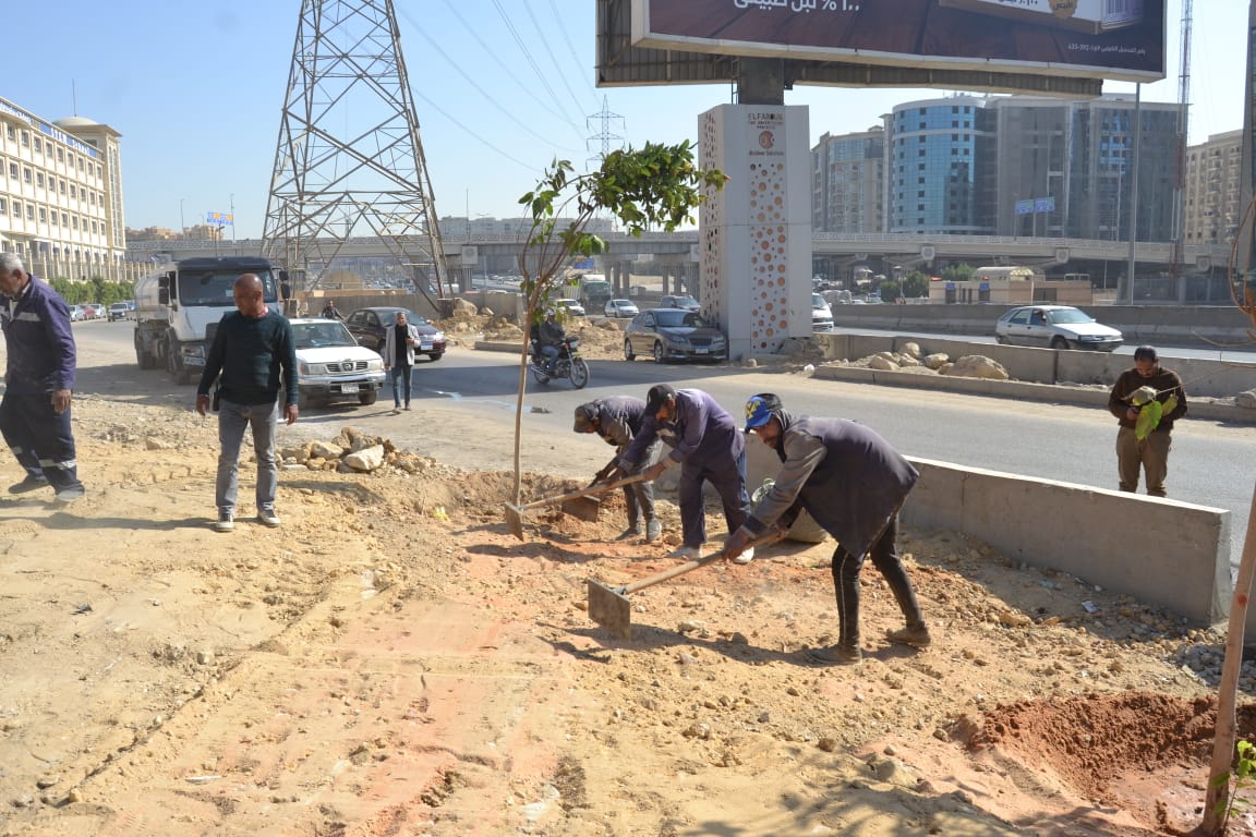 أعمال تشجير وزراعة الأشجار على طريق رئيسي في القاهرة