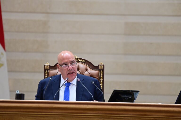 المستشار هشام بدوي رئيس مجلس النواب