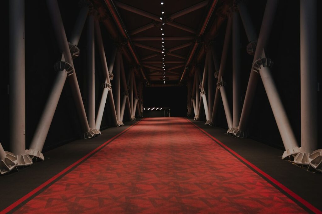 cinema film festival red carpet