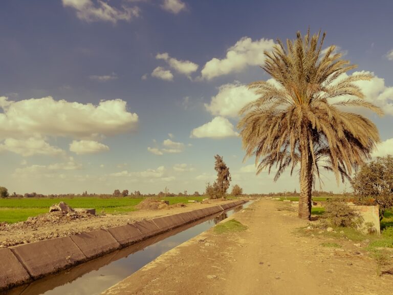 صورة تعبر عن الري والمصارف الزراعية في الريف المصري